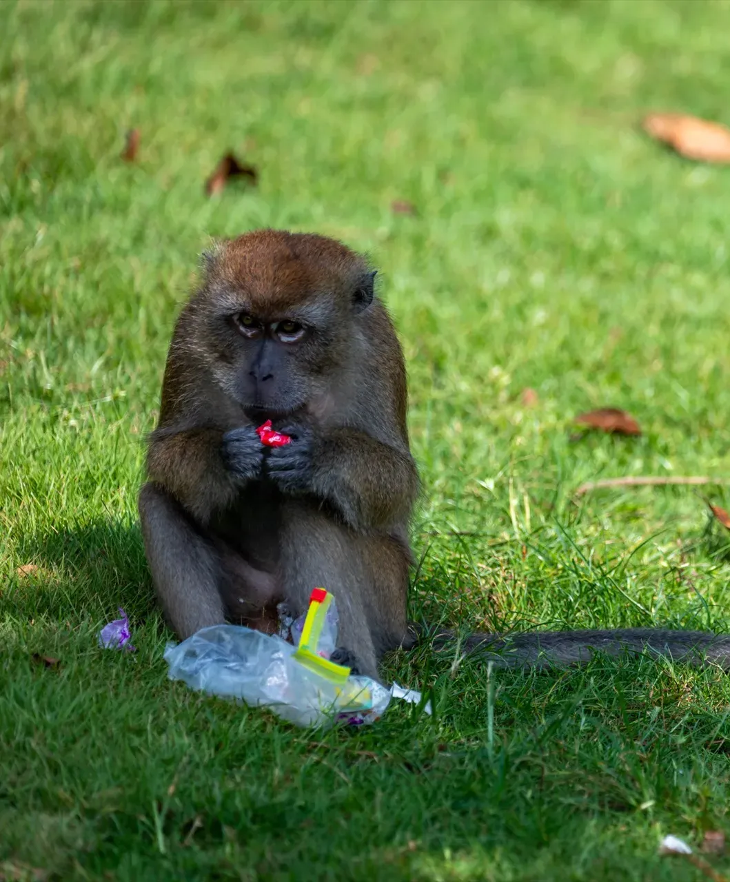 Tournament atmosphere